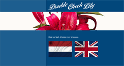 Desktop Screenshot of doublechecklily.nl